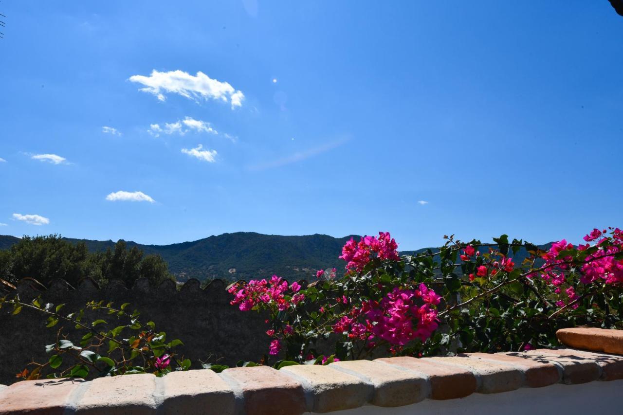 Bentosa Villa Enas Dış mekan fotoğraf